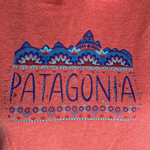 Patagonia Distressed Hoodie, Worn Wear, Women's size L - Picture 5 of 16